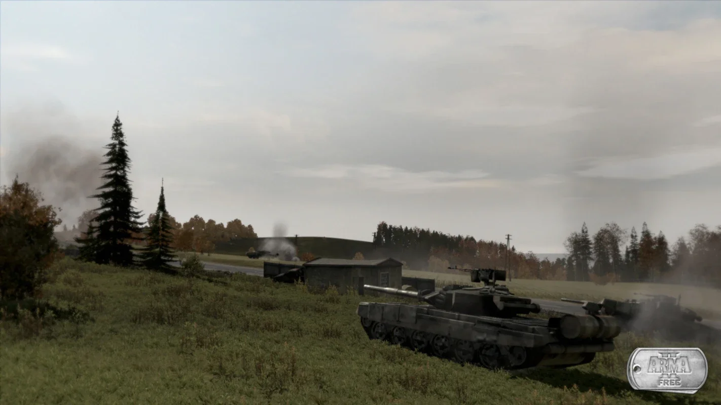ArmA 2 Free 1